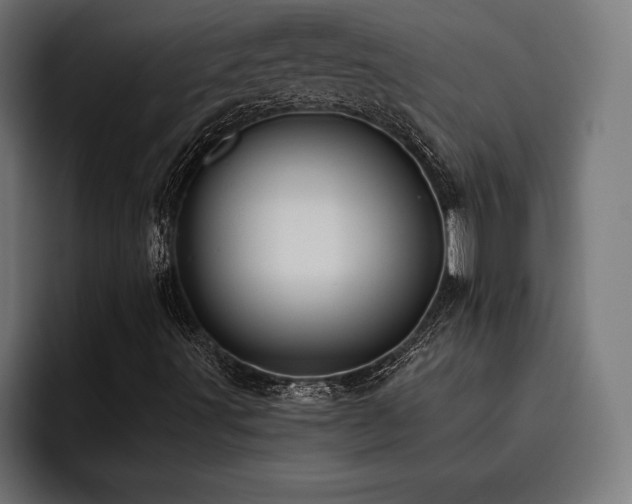 X0000093401491200710121049