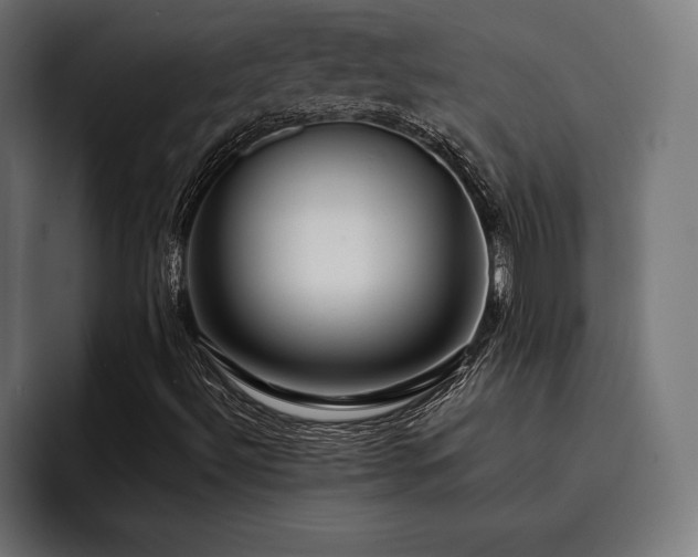 X0000093401492200710121049