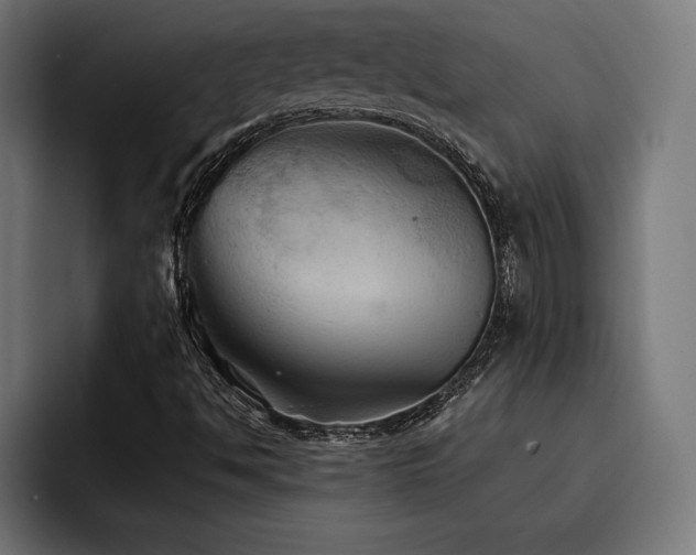 X0000093401494200710121049