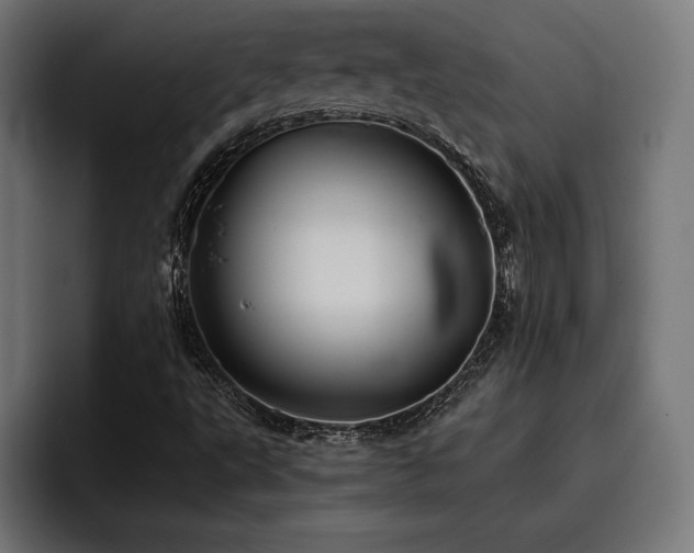 X0000093401495200710121049