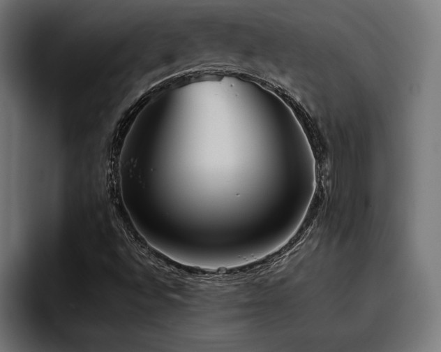 X0000093401496200710121049
