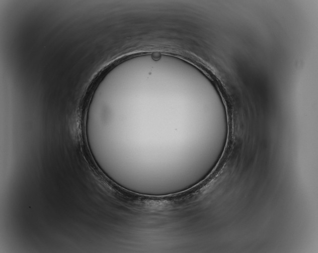 X0000093401498200710121049