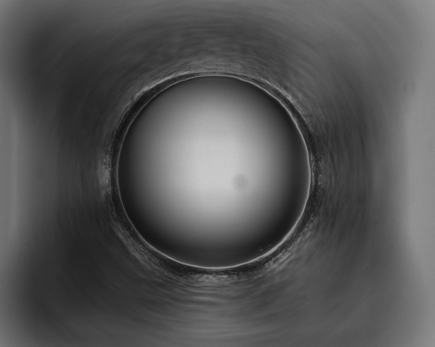 X0000093401499200710121049