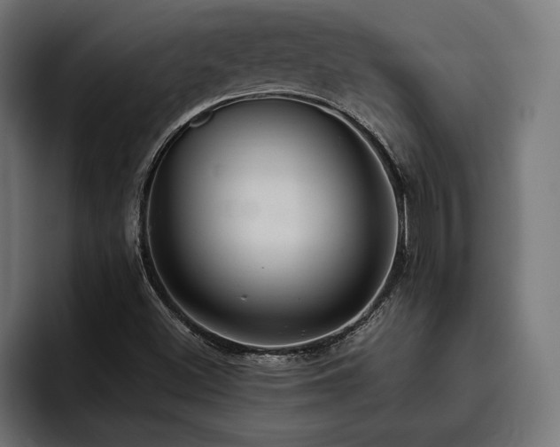 X0000093401500200710121049