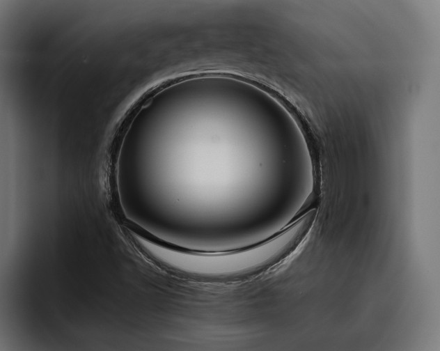 X0000093401502200710121049