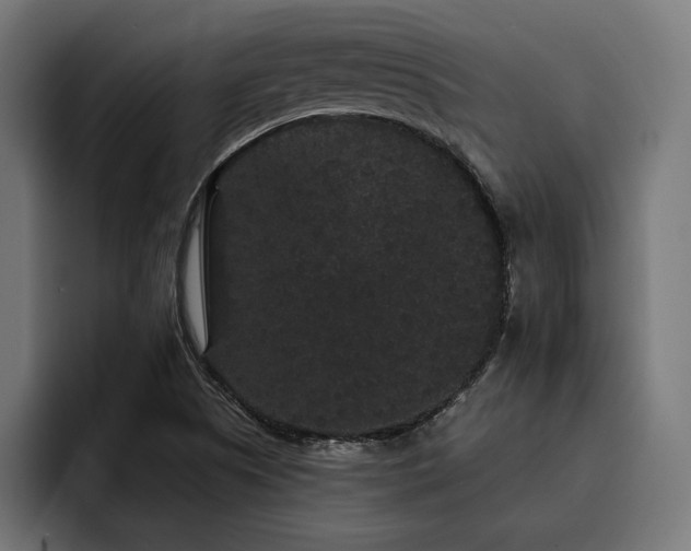 X0000093401505200710121049