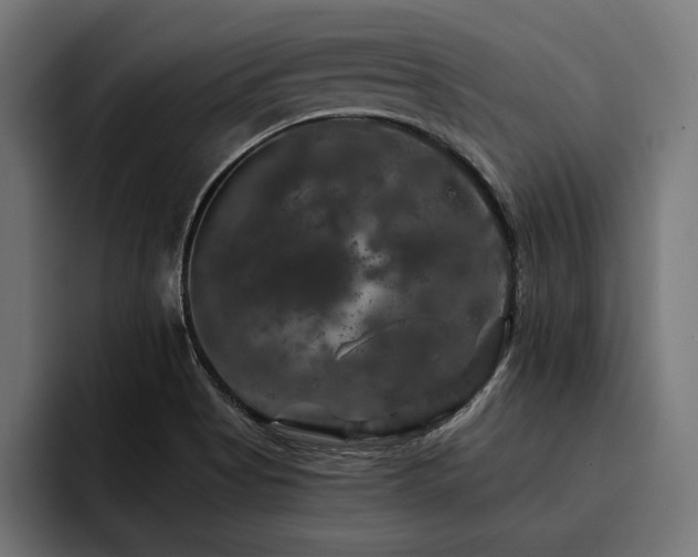 X0000093401513200710121049