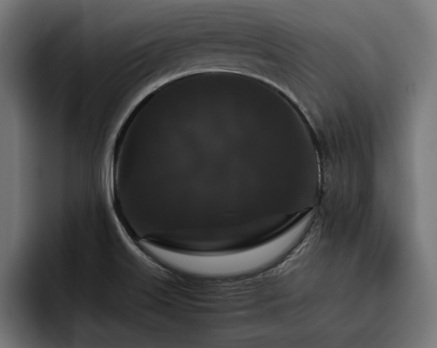 X0000093401515200710121049