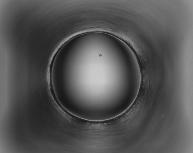 X0000093401516200710121049