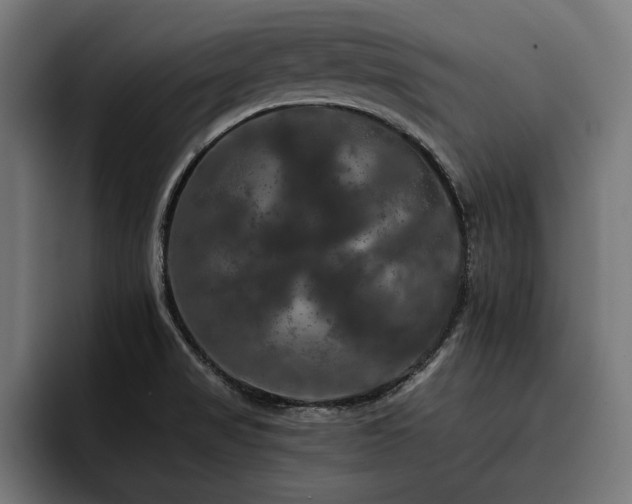 X0000093401517200710121049