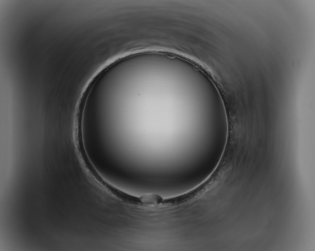 X0000093401518200710121049