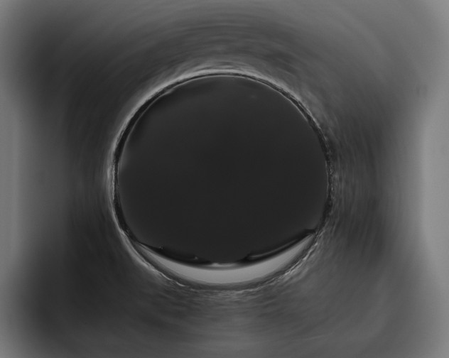 X0000093401519200710121049