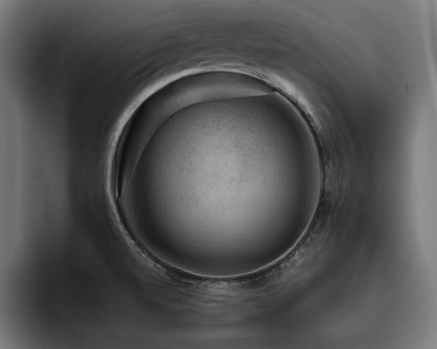 X0000093401520200710121049