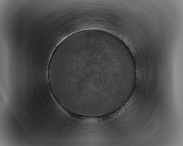 X0000093401521200710121049