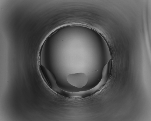 X0000093401524200710121049