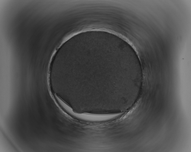 X0000093401525200710121049