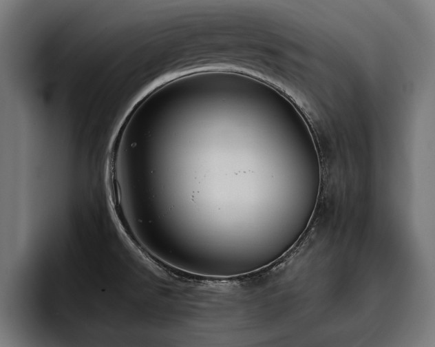X0000093401526200710121049