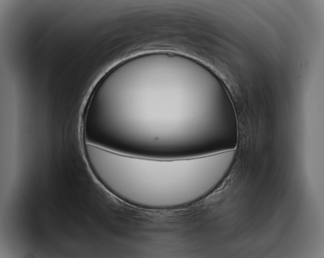 X0000093401527200710121049