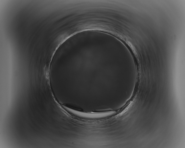 X0000093401529200710121049