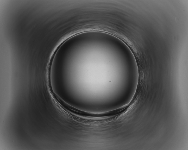 X0000093401530200710121049