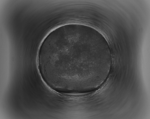 X0000093401531200710121049
