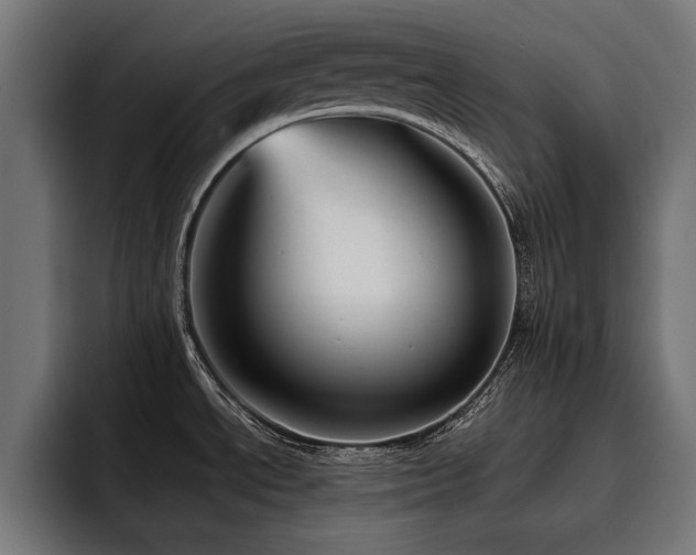 X0000093401534200710121049
