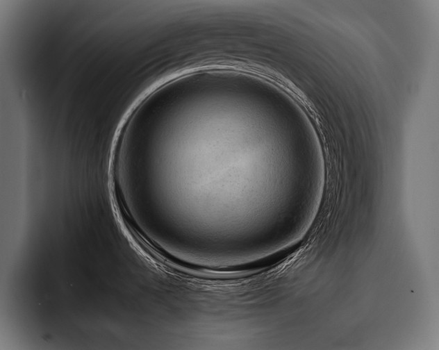 X0000093401536200710121049