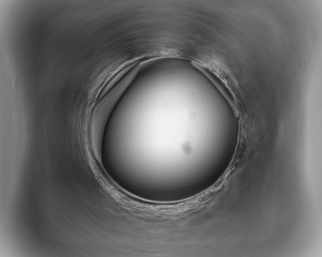 X0000093400001200710190934