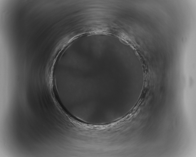 X0000093400002200710190934