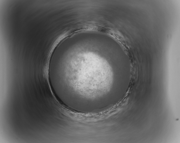 X0000093400003200710190934