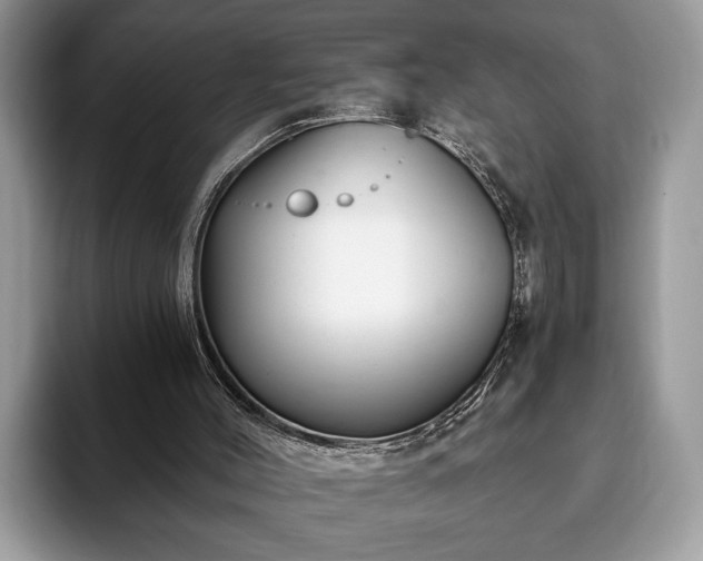 X0000093400004200710190934
