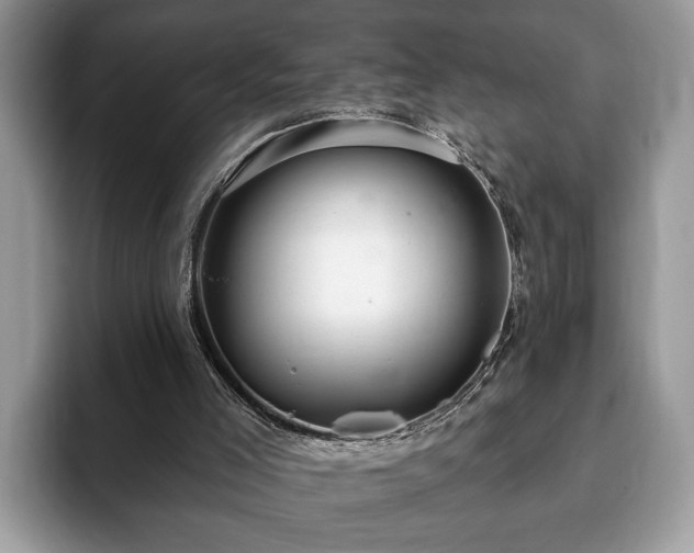 X0000093400005200710190934