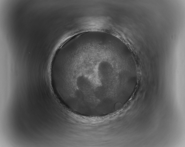 X0000093400006200710190934