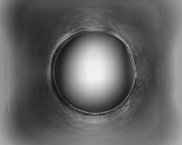 X0000093400008200710190934