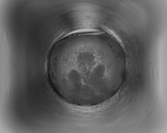 X0000093400010200710190934