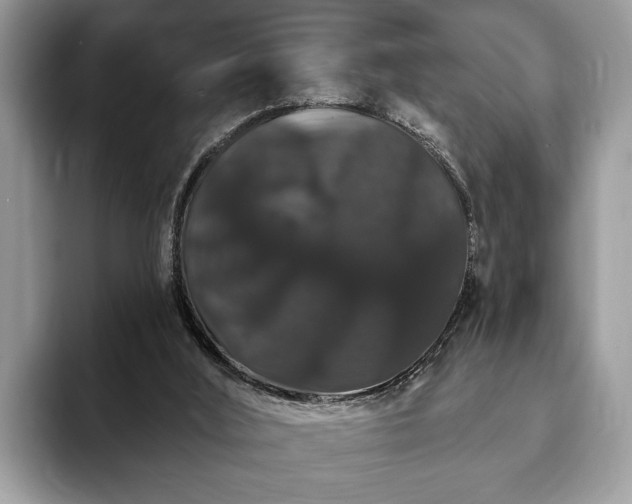 X0000093400012200710190934