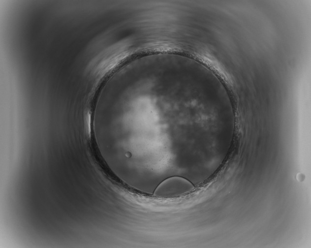 X0000093400014200710190934