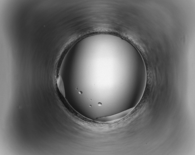 X0000093400015200710190934