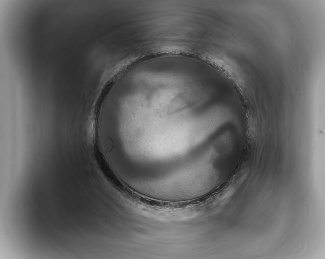X0000093400016200710190934