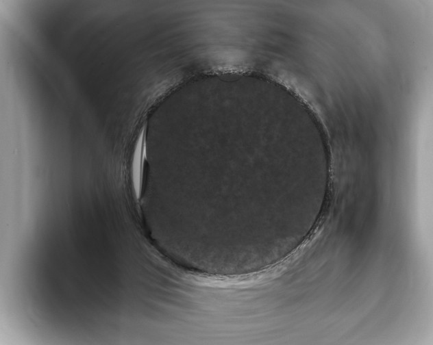 X0000093400017200710190934