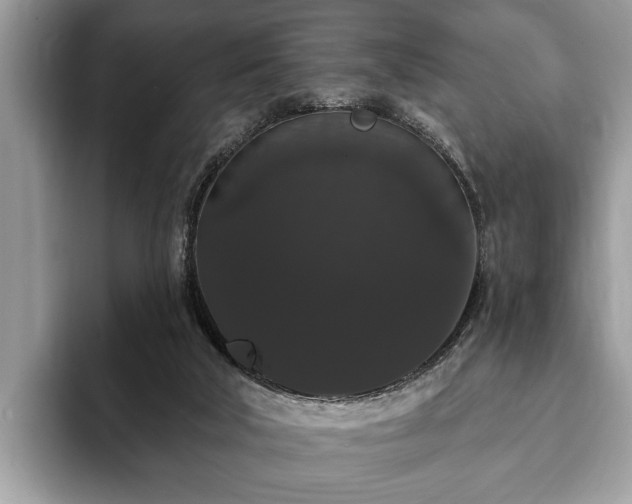 X0000093400018200710190934
