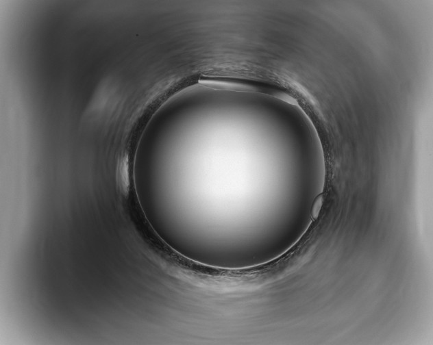 X0000093400020200710190934