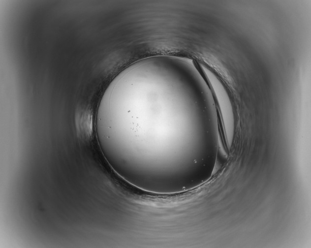 X0000093400021200710190934