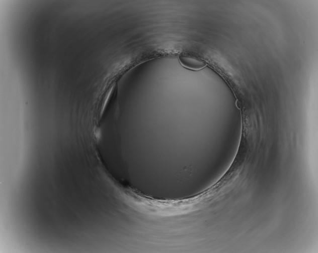 X0000093400023200710190934