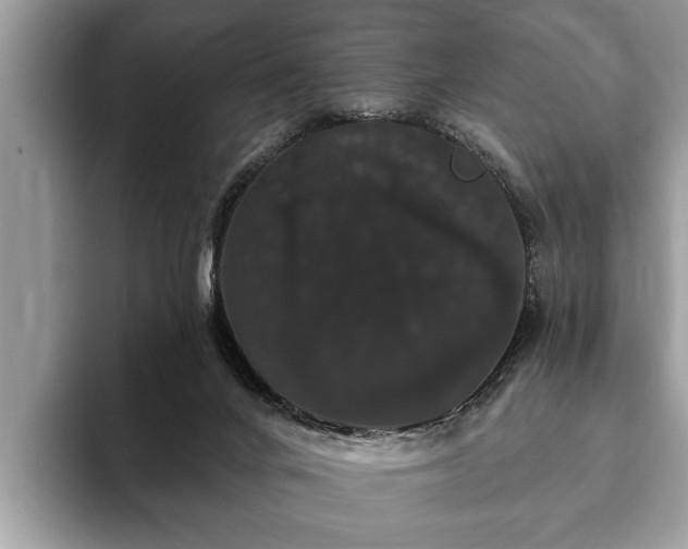 X0000093400024200710190934