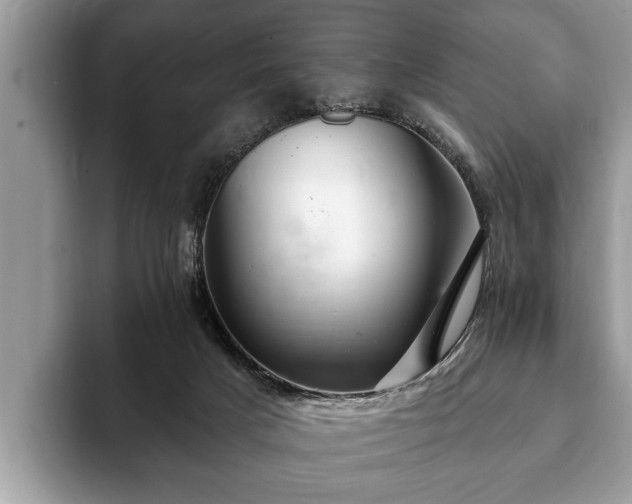 X0000093400025200710190933