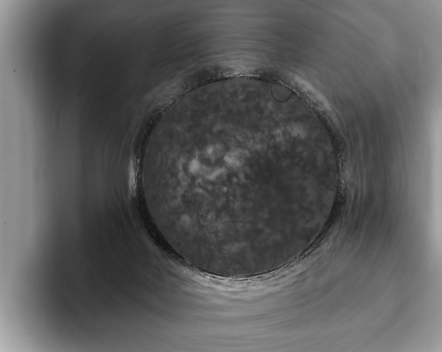 X0000093400026200710190933