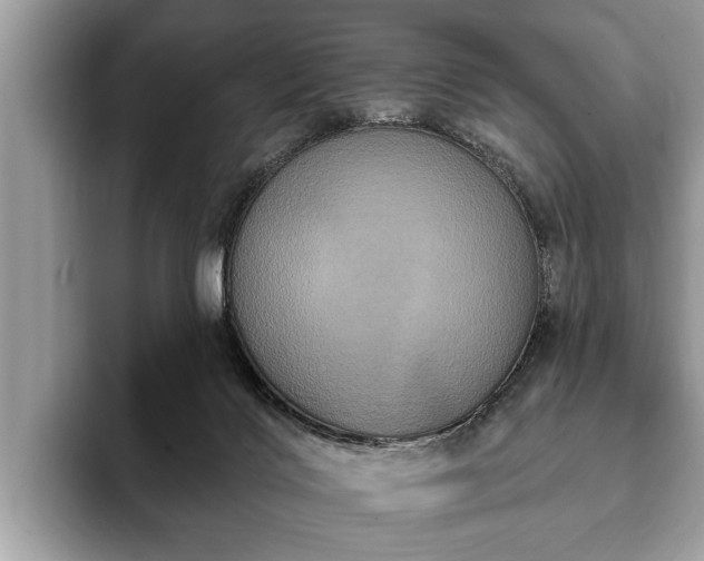 X0000093400028200710190933