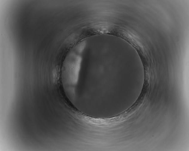 X0000093400030200710190933