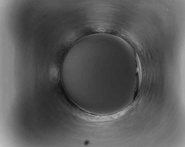 X0000093400031200710190933